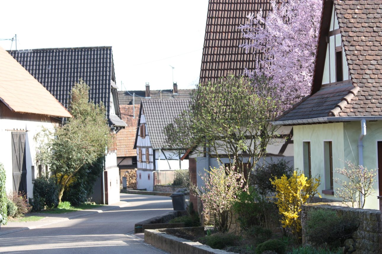 Mitschdorf1